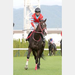 復調の兆しあり