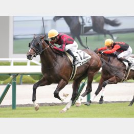 ２連勝を狙える