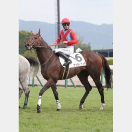 昇級戦から勝負になる