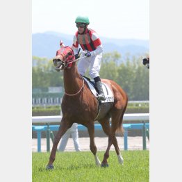 乗り慣れた団野で激走する