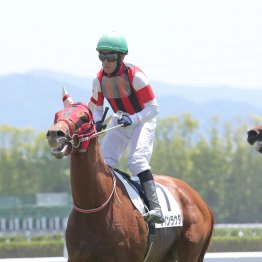 【大阪本紙・弘中の土曜阪神12Ｒ】