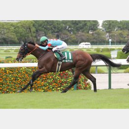 前走はモレイラが鮮やかに決めた