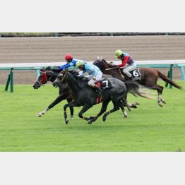 清秋ジャンプＳで②着