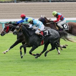【東京本紙・外山の土曜中山８Ｒ】