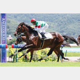 福島で新馬勝ち