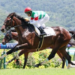 【東京本紙・外山の土曜中山９Ｒ】