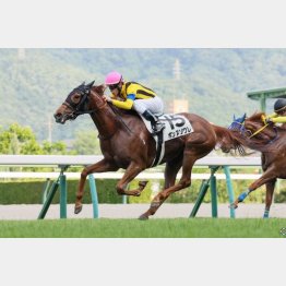 前々走で１勝クラスを卒業