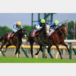 目黒記念はアドマイヤテラから首差の②着