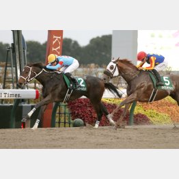 みやこＳで牡馬を撃破して重賞Ｖ