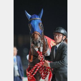 連勝記録は止まらない