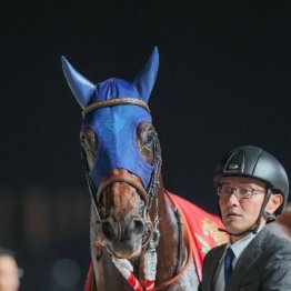 【市川の日曜競馬コラム・チャンピオンズＣ】