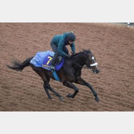 今週の坂路で秀逸の動き