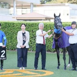 【木津の日曜競馬コラム・南総Ｓ】
