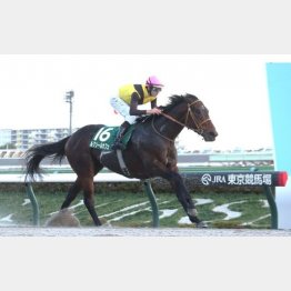 武蔵野Ｓで重賞初制覇