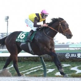 【大谷の日曜競馬コラム・チャンピオンズＣ】