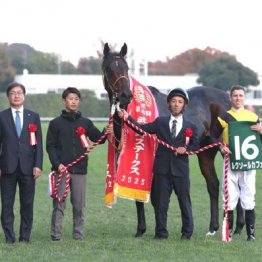 【武田の日曜競馬コラム・チャンピオンズＣ】