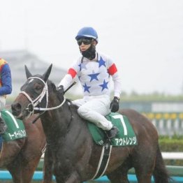 【橘の日曜競馬コラム・チャンピオンズＣ】