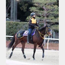 さらにパワーアップ