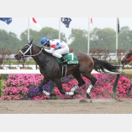 ここで巻き返す