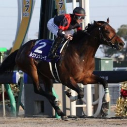 【注目重賞／データで買う・チャンピオンズＣ】