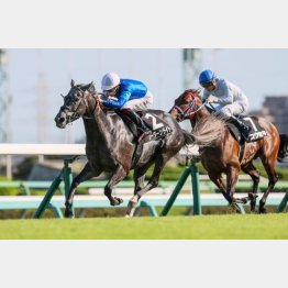 強い内容で２勝クラスを卒業