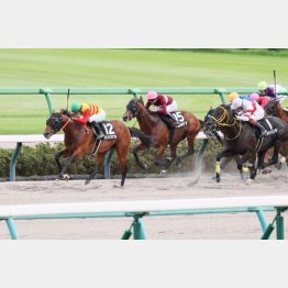 内房Ｓは見せ場十分