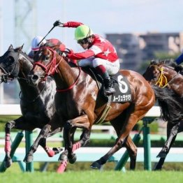 【東京本紙・外山の日曜中山11Ｒ】