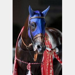 田中博厩舎３連覇だ