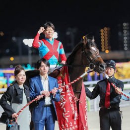 【チャンピオンズＣ】ラムジェト　デキ絶好、展開、パサパサの砂で差し切る