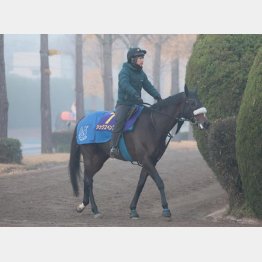 ○シックスペンス一気に頂点も