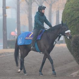 【チャンピオンズＣ】３歳ナルカミ砂統一へ