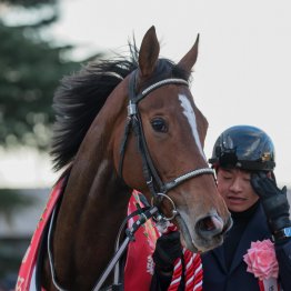 チャンピオンズＣで勝負の分かれ目となった血統的な適性の差