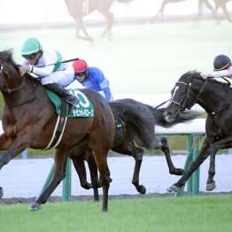 チャンピオンズＣで勝負の分かれ目となった血統的な適性の差