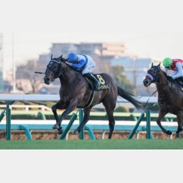 今回がオープン初勝利