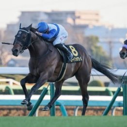 【ラピスラズリＳ】ロードフォアエース３馬身差の快勝
