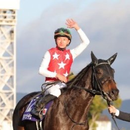 【阪神ジュベナイルＦ】重賞勝ち馬不在で大混戦