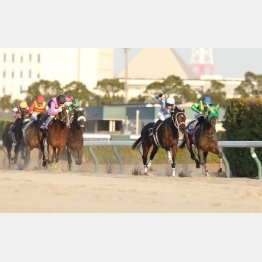 ダブルハートボンドが先行馬にとって厳しい流れを好位２、３番手からしのいだ