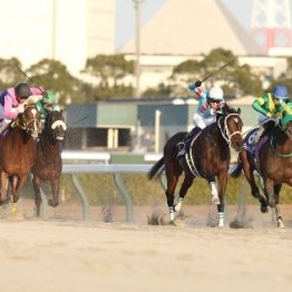 チャンピオンズＣの記録はかなり優秀