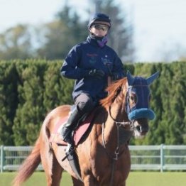 【阪神ジュベナイルＦ】２連勝中のアルバンヌ、２度目の栗東滞在で十分チャンスあり