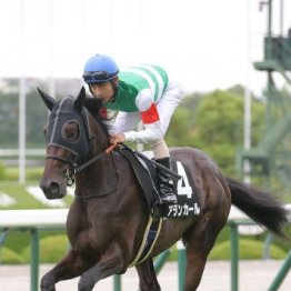 【阪神ジュベナイルＦ】アランカールの白星街道はまだ続く