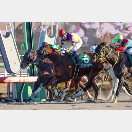 昨24年は１→７→９番人気で決まった