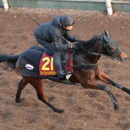 【阪神ジュベナイルＦ】調教マル得チェック②