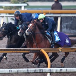 【阪神ジュベナイルＦ】２戦２勝アランカールしなやかな走りでスピード感◎