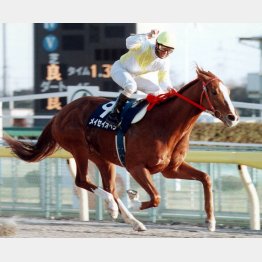 フェブラリーＳを制したメイセイオペラ