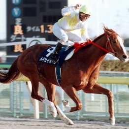 〈118〉小さい頃から競馬場へ　グリーンチャンネルでもおなじみ大澤幹朗さん（２）