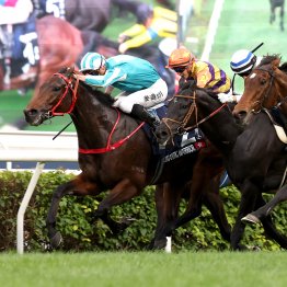 香港国際競馬に日本馬が７頭出走　マイルのソウルラッシュはチャンスあり！？