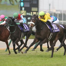 【阪神ジュベナイルＦ】今年も〝東娘〟にご用心