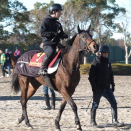 【阪神ジュベナイルＦ】ショウナンカリス末脚炸裂