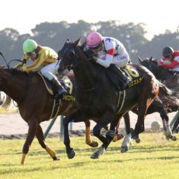 【市川の土曜競馬コラム・中日新聞杯】