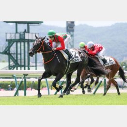 千二で２勝目を狙う